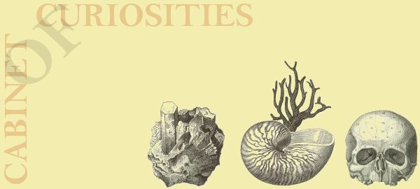 Cabinet of Curiosities